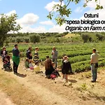 La Corte Della Masseria By Interhome *